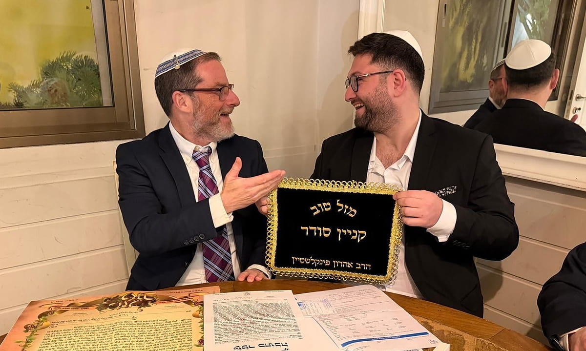 תמונה מספר 8