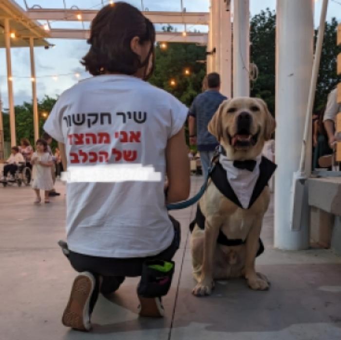 ליווי כלבים בחתונה | Shir for the dogs