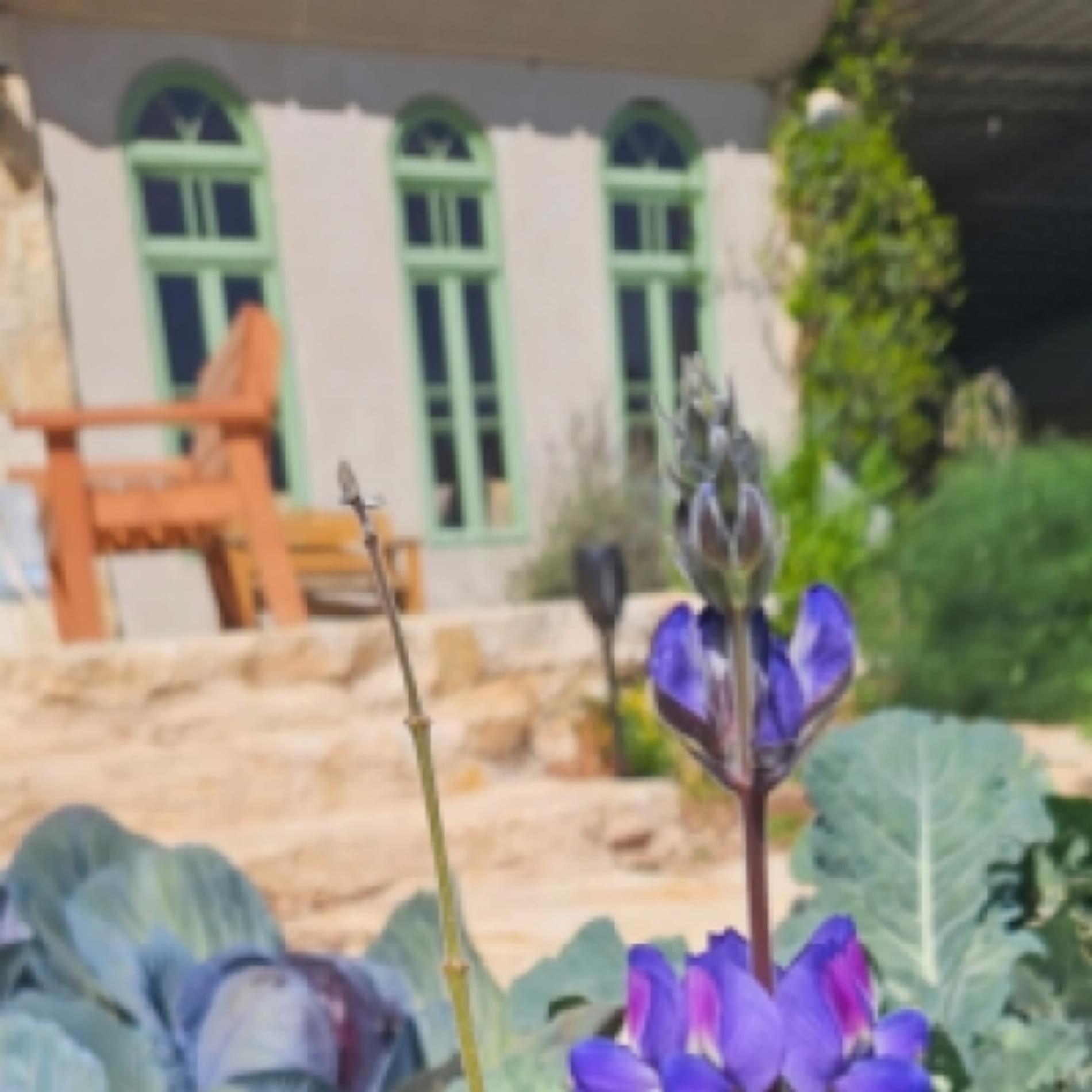 ירוק עז - חאן אקולוגי קסום