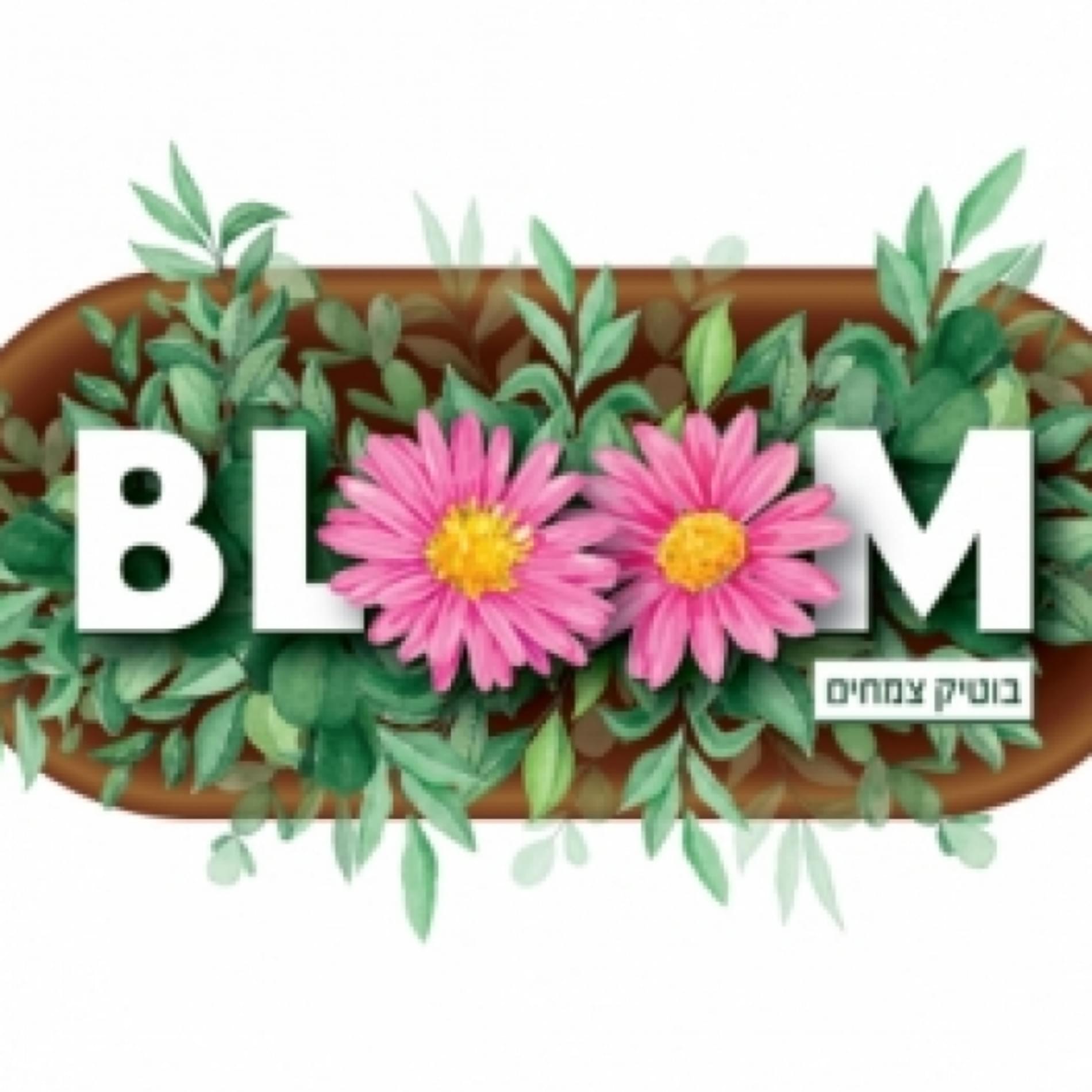 BLOOM אירועים פורחים
