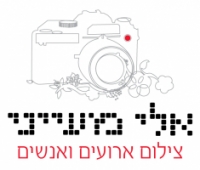 אלי מעייני צילום