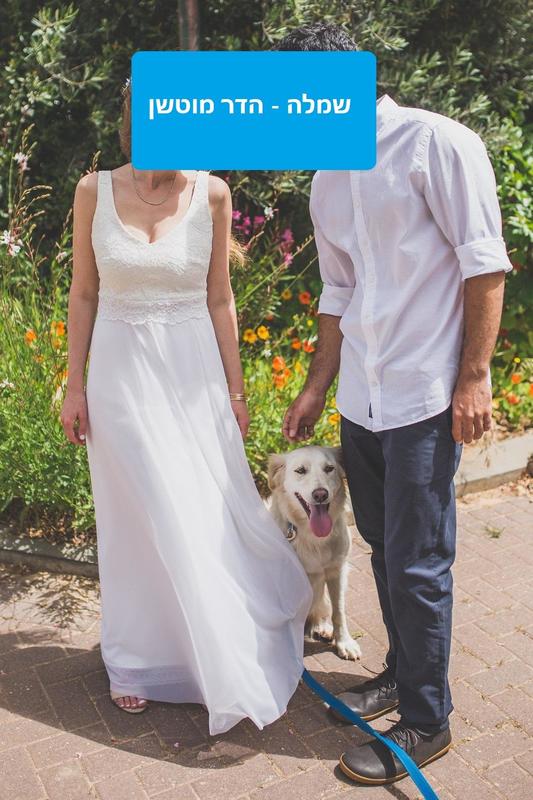 חוות דעת של kim על הדר מוטשן