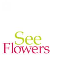 see flowers