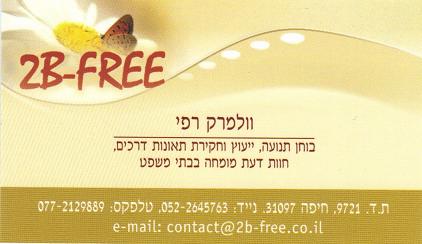 2b-free חקירה ושיחזור תאונות דרכים,חוות דעת מומחה לבית המשפט