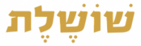 רעות פרנקל טולדו-סטודיו