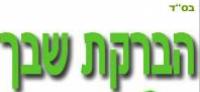 הברקת שבך