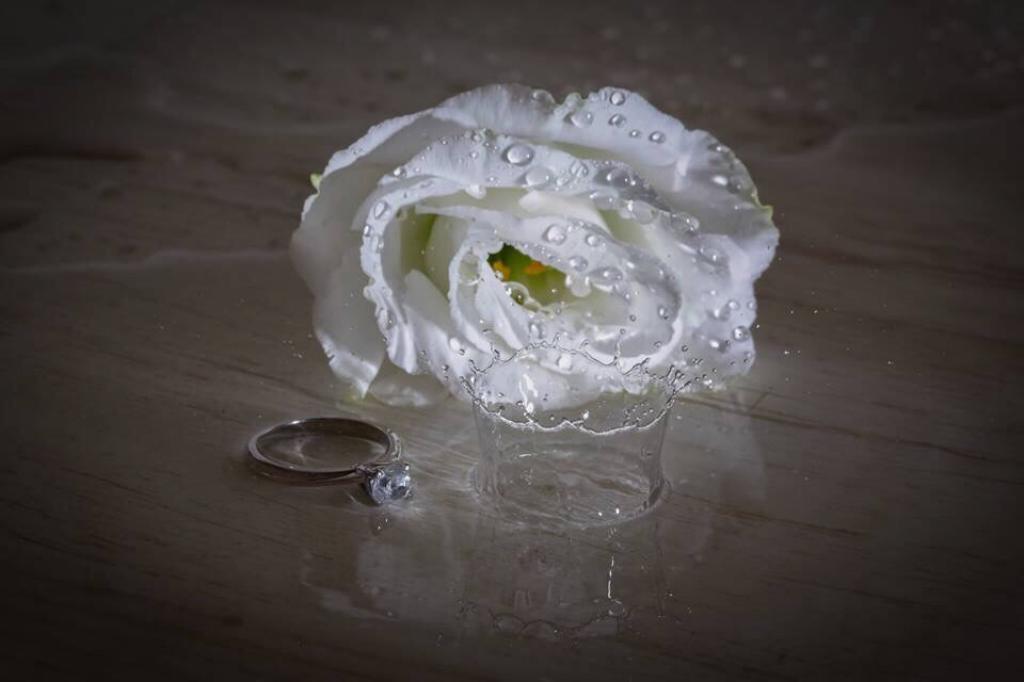חוות דעת של Eti על Helado Photography