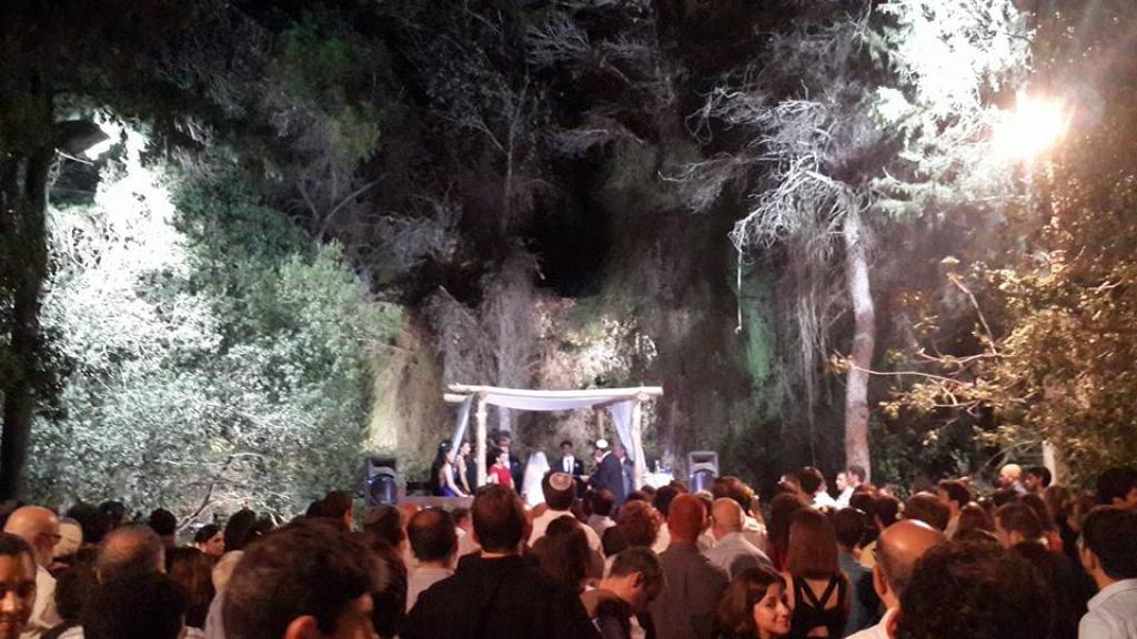 חוות דעת של עדי ואיילת על פפריקה מוסיקה