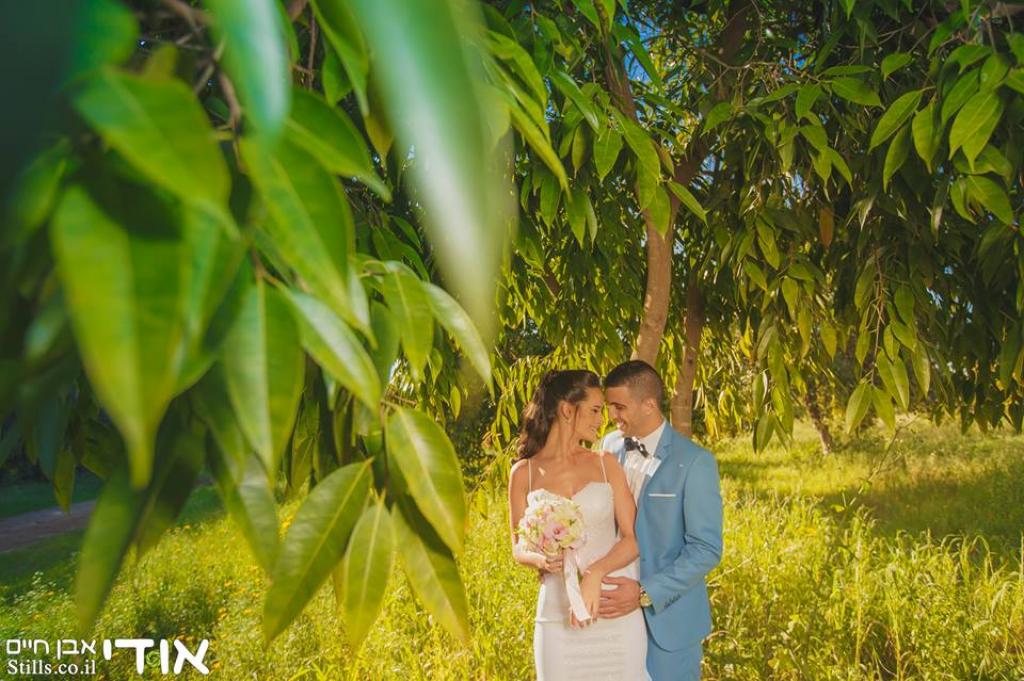 חוות דעת של Almog על אודי אבן חיים | Stills.co.il
