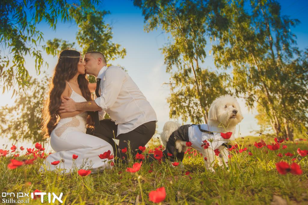 חוות דעת של Rinat על אודי אבן חיים | Stills.co.il