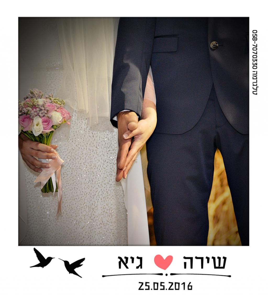 חוות דעת של Shira על סטודיו טלגרמה