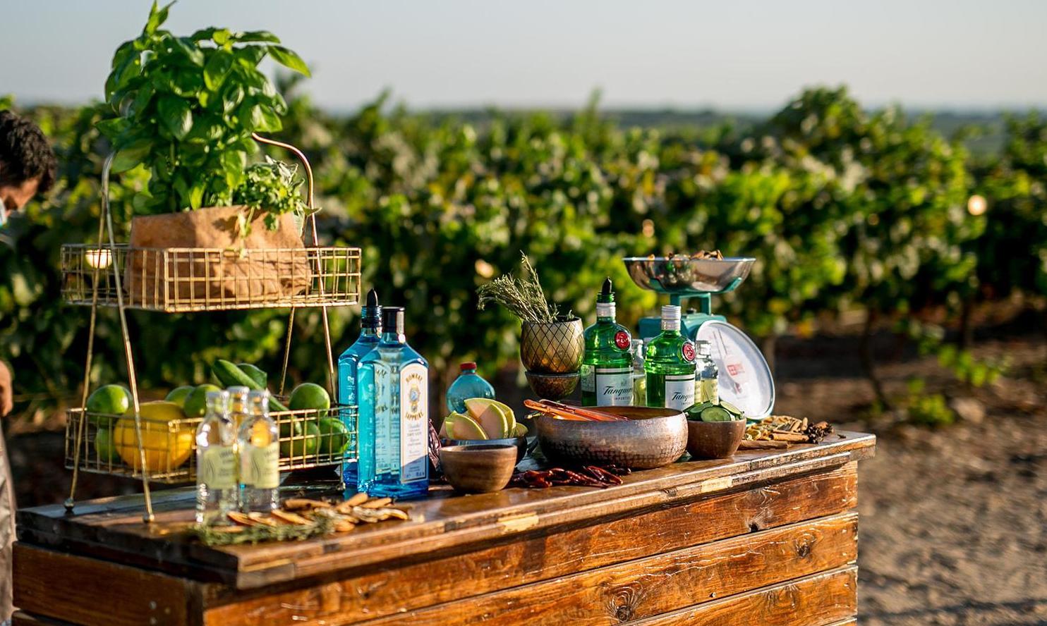 עמדת ג'ין טוניק מפנקת