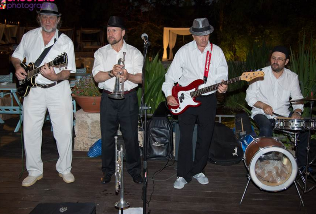 חוות דעת של Reuma על DIXIE CATS