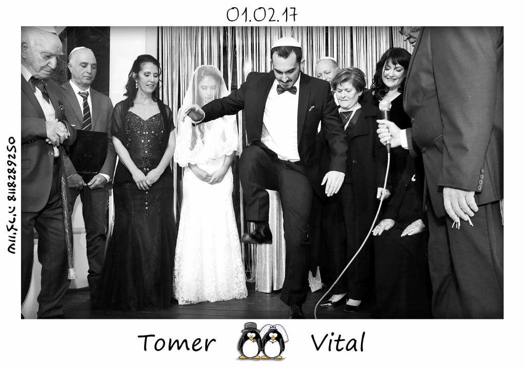 חוות דעת של vital על שוויצריה הפקות