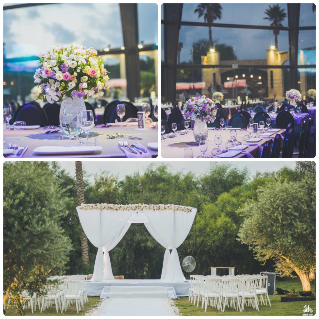 חוות דעת של Adi על ODEM Events design