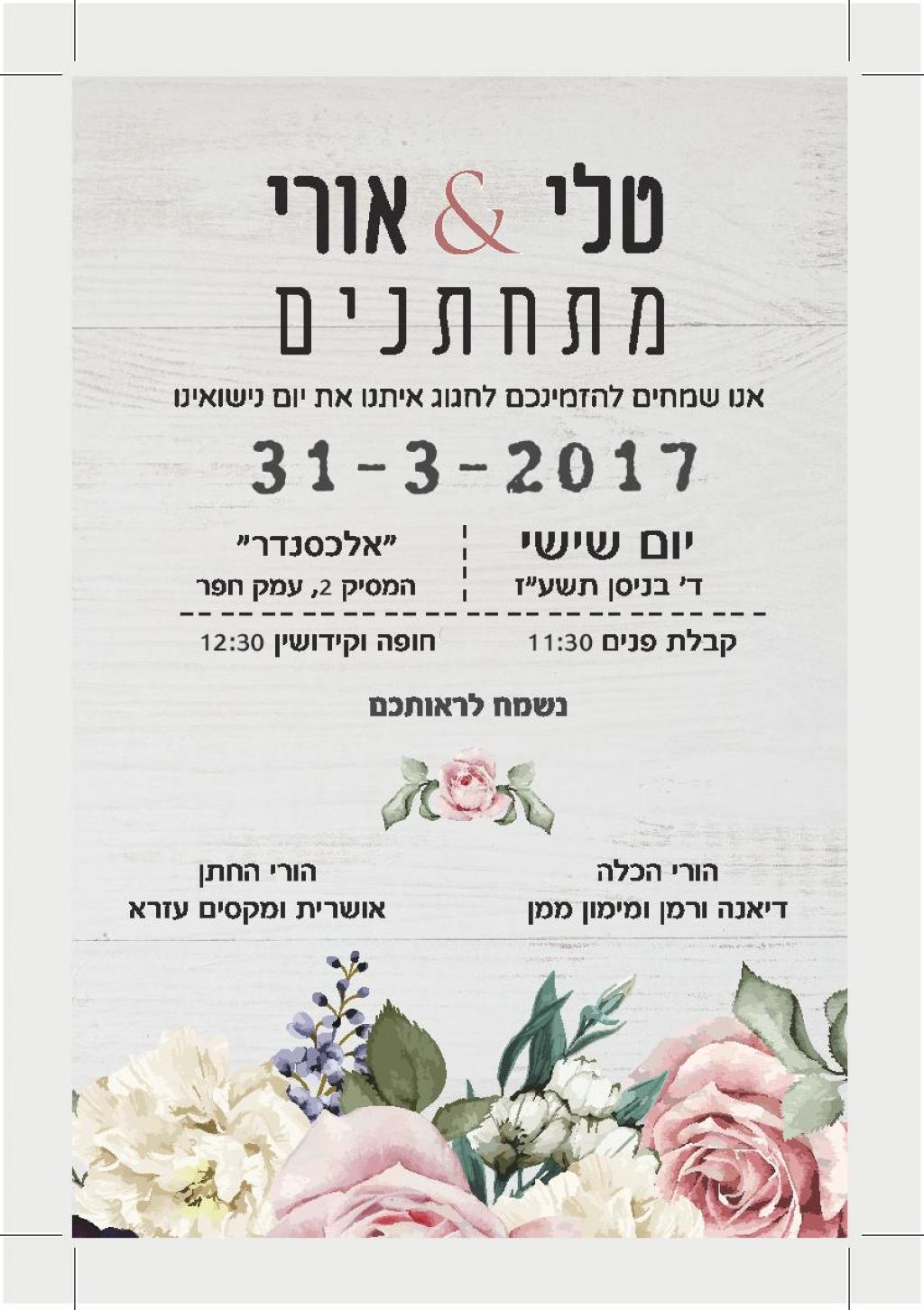 חוות דעת של Tali על סטודיו נוף