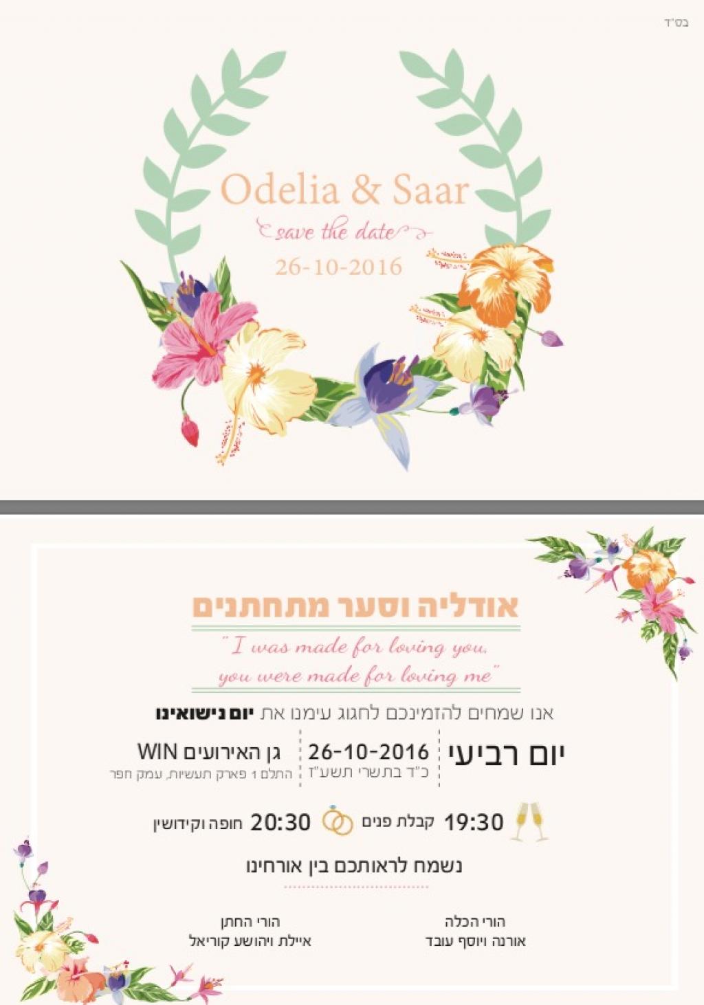 חוות דעת של Odelia על סטודיו נוף