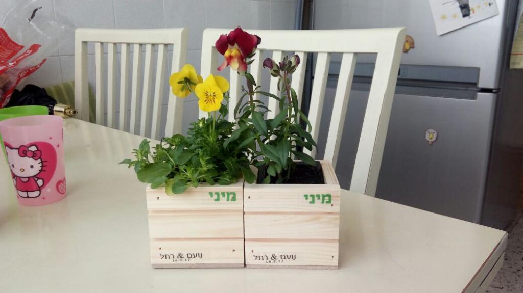 חוות דעת של Rachel על ציונות 2000