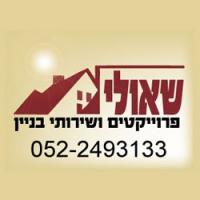 שאולי פרויקטים