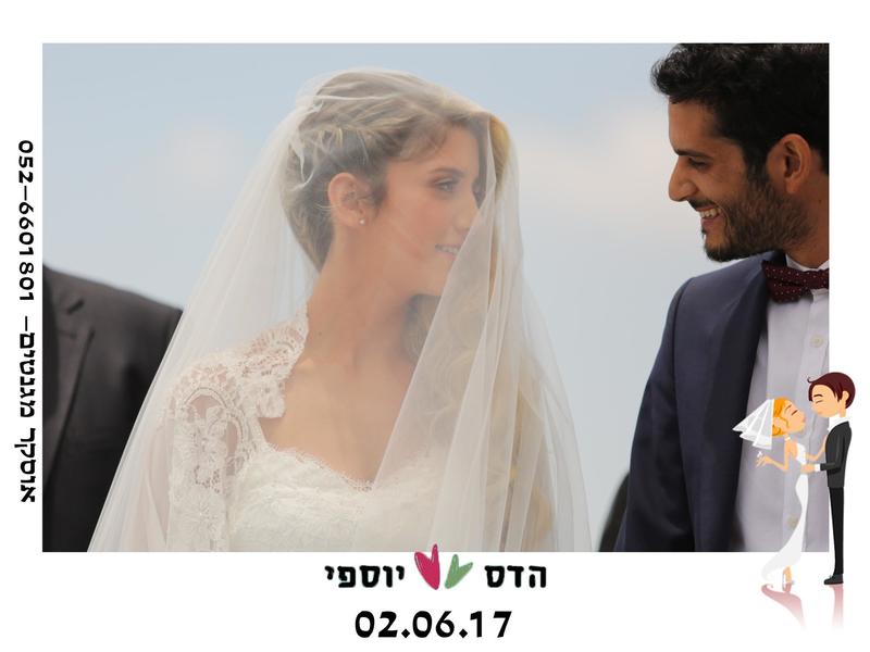 חוות דעת של hadassoved על אוסקר מגנטים איכותיים