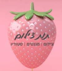 תות צילום