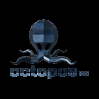 אוקטופוס פרו | Octopus Pro 