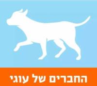 החברים של עוגי - ליווי כלבים לחתונות