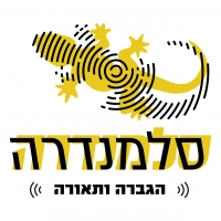 סלמנדרה הגברה ותאורה