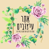 אתר עיצובים