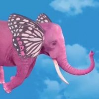 Pink Elephant