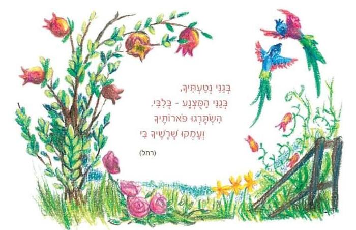 יאיר נסימי. יאיר נסימי.