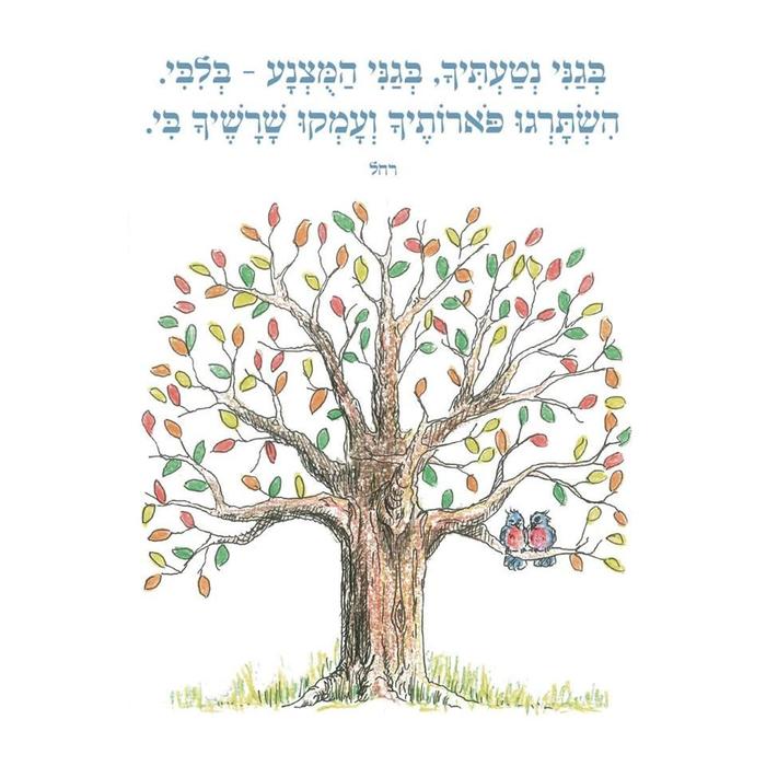 יאיר נסימי. יאיר נסימי.