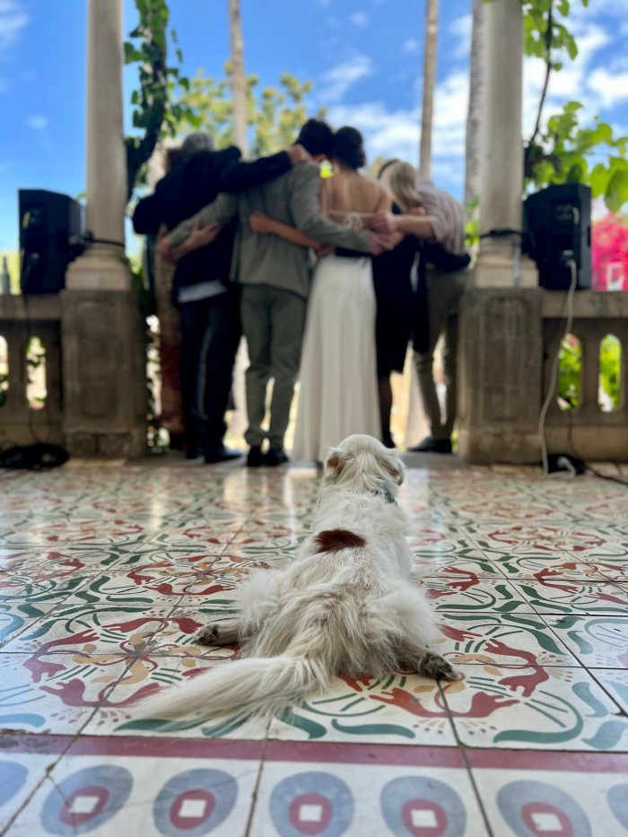 סטיבי הכלב המתוק בחתונה המרגשת! צילום: אלה קיסר