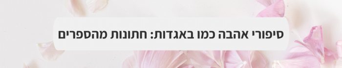 הפקה וניהול אירועים - ט