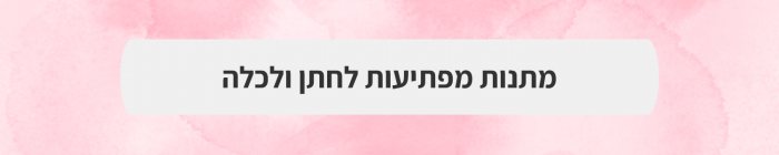 הפקה וניהול אירועים - ט