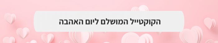 הפקה וניהול אירועים - ט